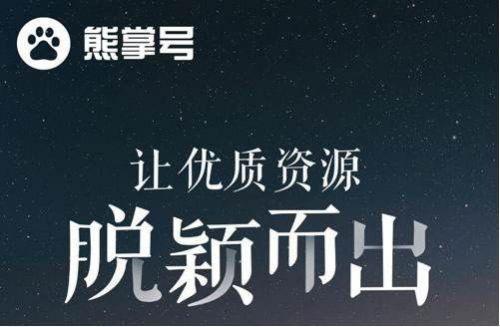百度熊掌號的原創保護作用有哪些?