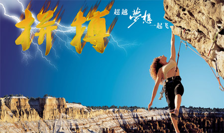 IT行業(yè)資深seo分析師