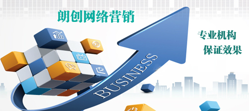 朗創(chuàng)網(wǎng)絡(luò)營(yíng)銷(xiāo) 實(shí)力見(jiàn)證卓越