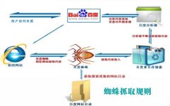 怎樣吸引蜘蛛抓取提供網站收錄和流量