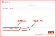 Tag標簽的作用以及使用時注意事項