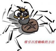 通過分析和診斷網(wǎng)站日志來提高搜索引擎抓取友